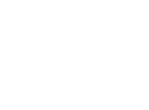 BSOV